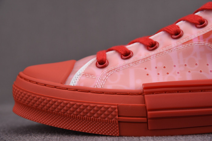 d10r b23 oblique low top sneaker