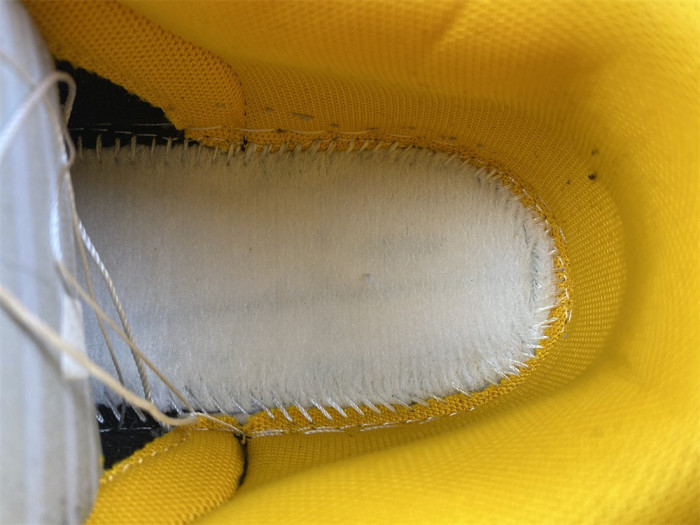 nike dunk low championship goldenrod dd1391-004