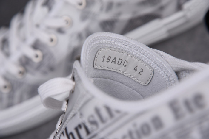 d10r b23 oblique low top sneaker