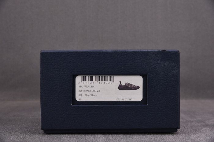 d10r b28  oblique low top sneaker