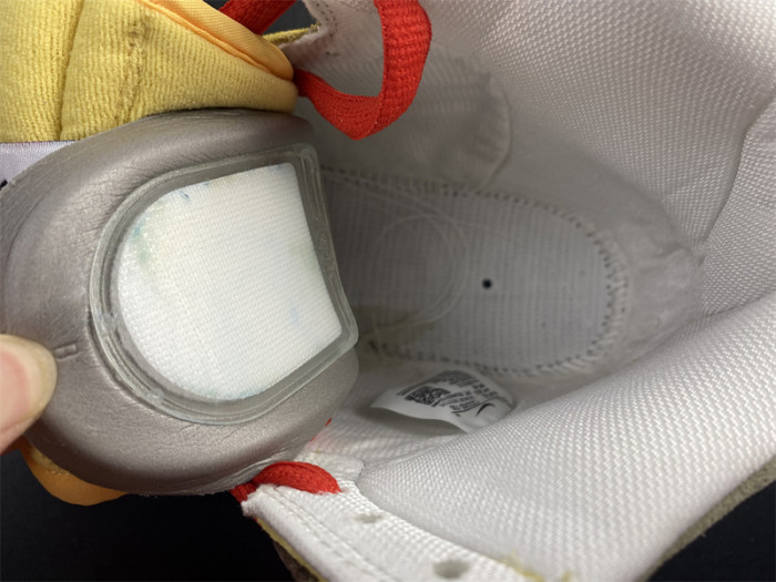 color skates x dunk high sb 