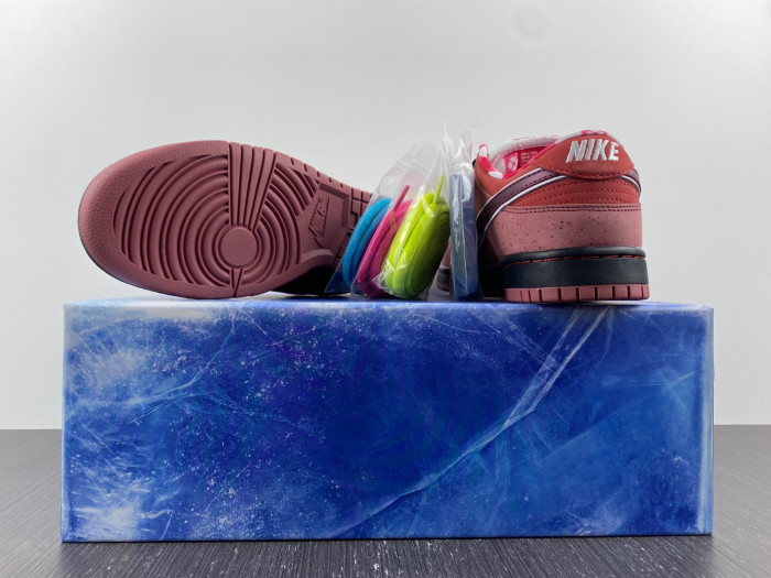 ike sb dunk low concepts red lobster -313170-661