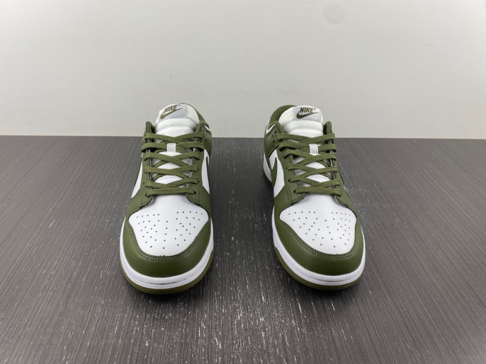 nike dunk low medium olive  - dd1503-120