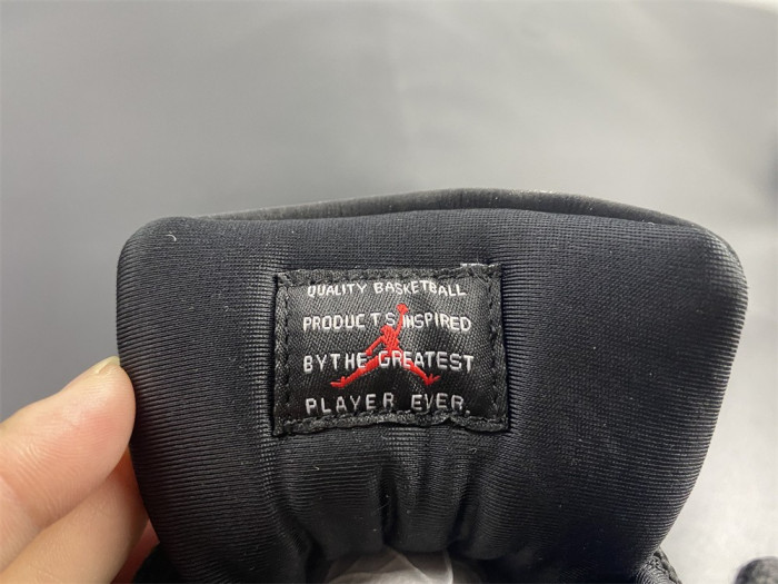 air jordan 11 animal instinct ar0715-010