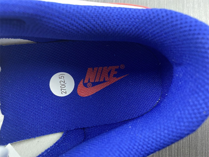 nike dunk low usa dd1503-119