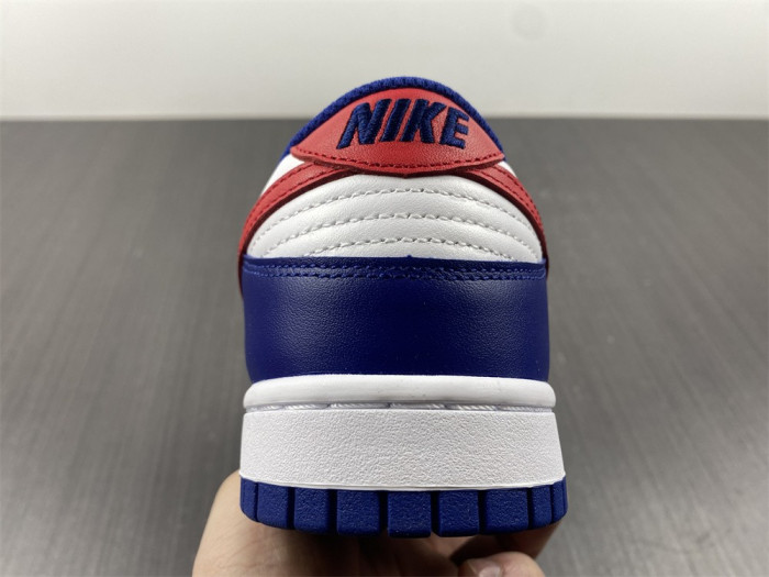 nike dunk low usa dd1503-119