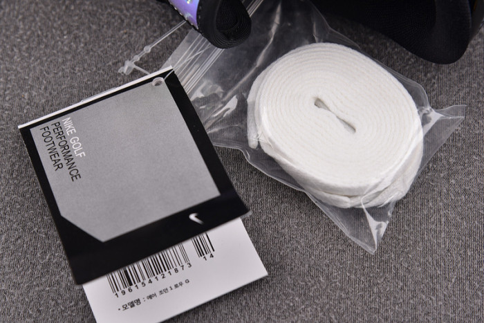 air jordan 1 low golf endless pursuit fz4159-100