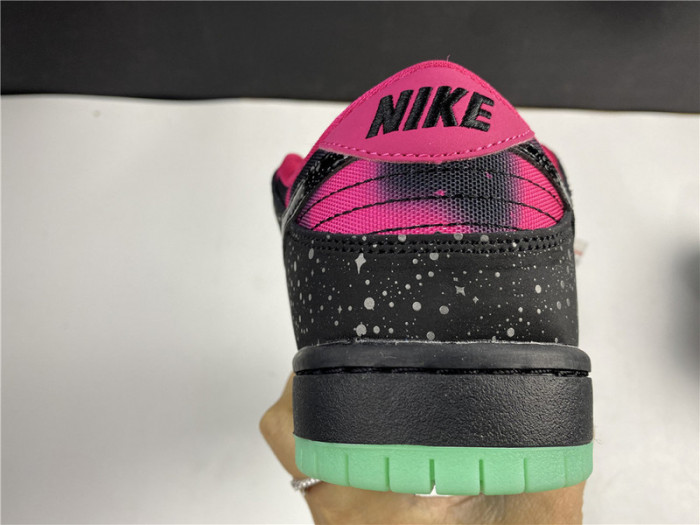 nike dunk sb low premier "N0*Hern lights"724183-063