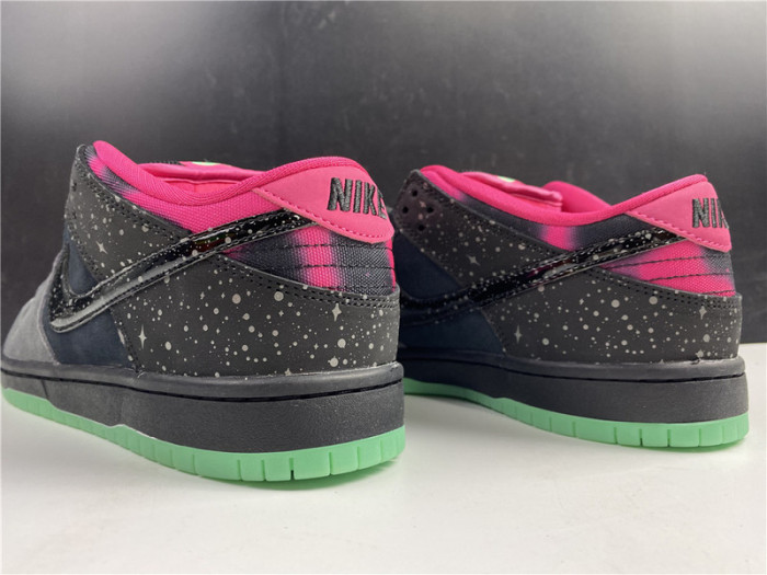 nike dunk sb low premier "N0*Hern lights"724183-063