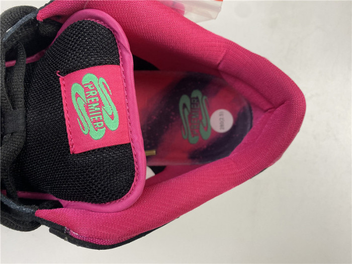 nike dunk sb low premier "N0*Hern lights"724183-063