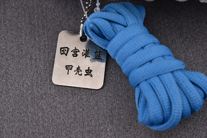 nike sb dunk low "racing buggt sand scorchrc"  tg1391-506