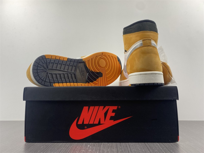 jordan 1 high element gore-tex light curry - db2889-700
