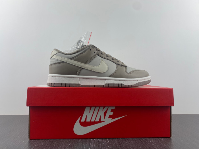 nike dunk low light grey fd0792-001