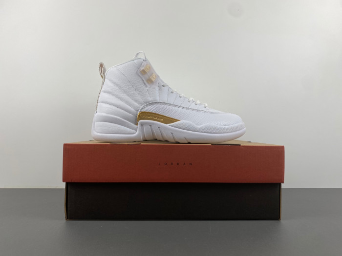 air jordan 12 phantom fd9101-007
