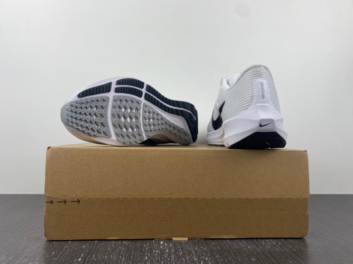 nike air zoom pegasus 40 white black photon dv3853-102