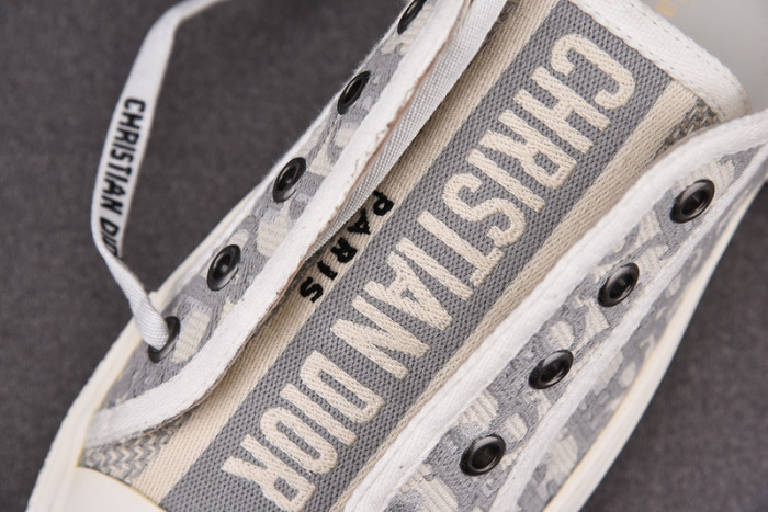 d10r b23 oblique low top sneaker