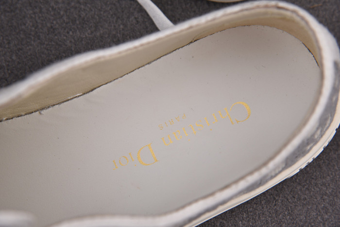 d10r b23 oblique low top sneaker