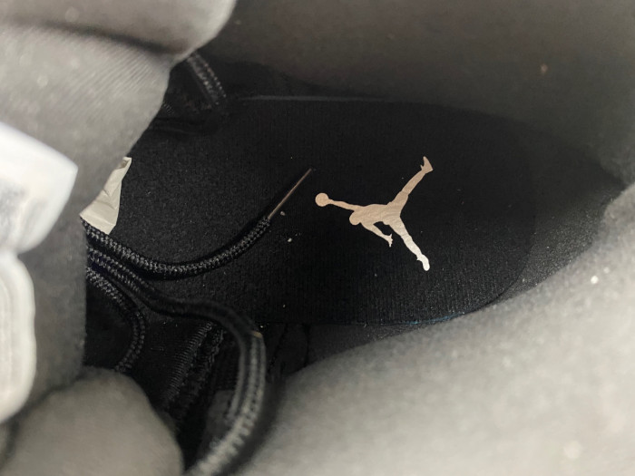 air jordan 12 "black wolf grey” ct8013-019