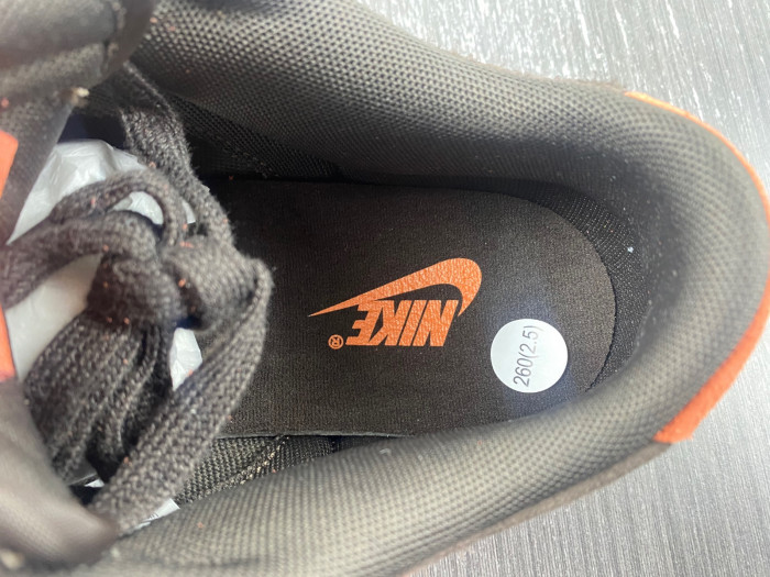 nike dunk low "red panda" fv0395-200